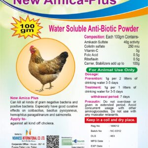 New Amica plus