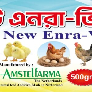 New Enra-v